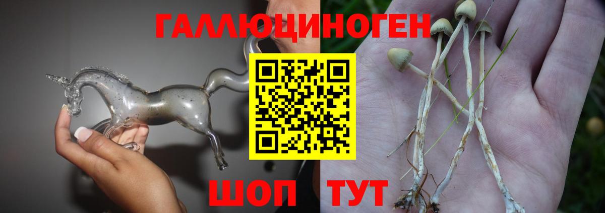 Псилоцибиновые грибы GOLDEN TEACHER  Вход с VPN  Верхний Уфалей 